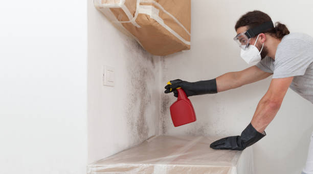 Professional Basement Mold Remediation technician working in Georgia, GA